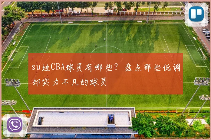 su姓CBA球员有哪些？盘点那些低调却实力不凡的球员