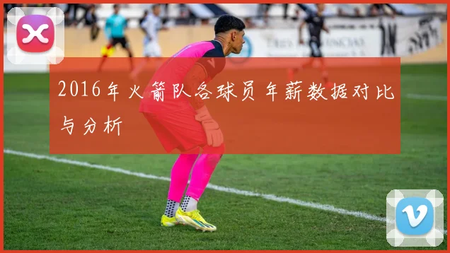 2016年火箭队各球员年薪数据对比与分析