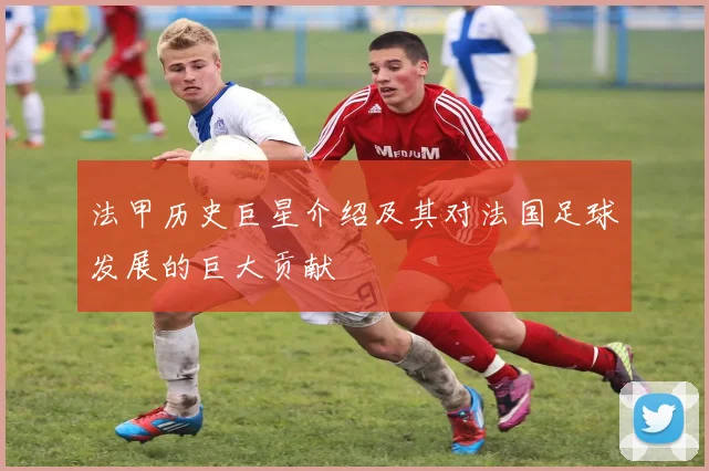 法甲历史巨星介绍及其对法国足球发展的巨大贡献