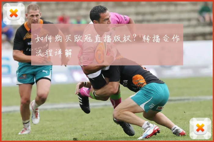 如何购买欧冠直播版权？转播合作流程详解