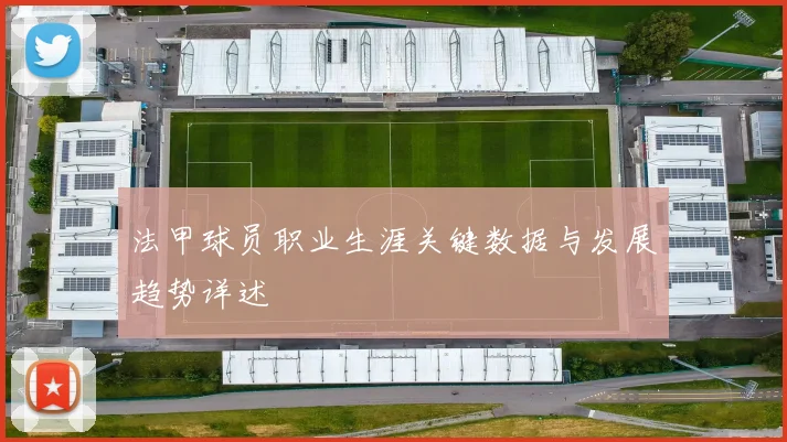 法甲球员职业生涯关键数据与发展趋势详述