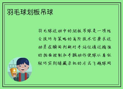 羽毛球划板吊球