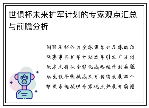 世俱杯未来扩军计划的专家观点汇总与前瞻分析